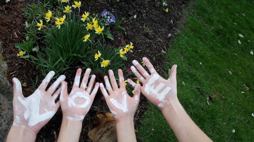 57a35-20170406_190306