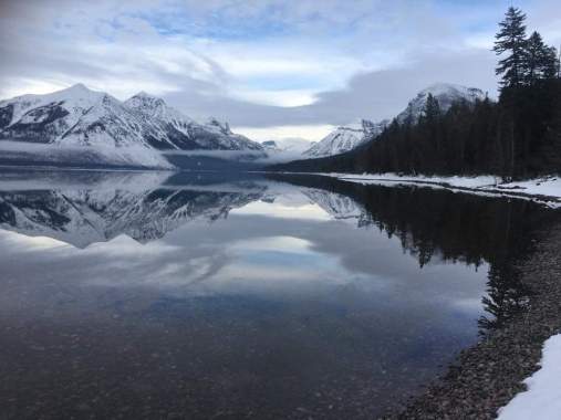 FB_IMG_1516247504862